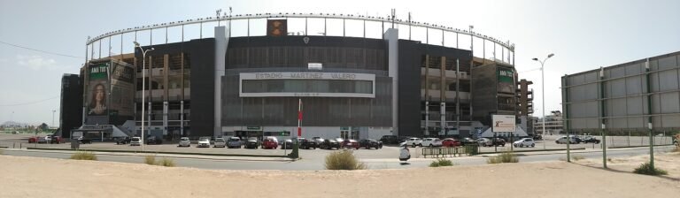 Estadio Martínez Valero