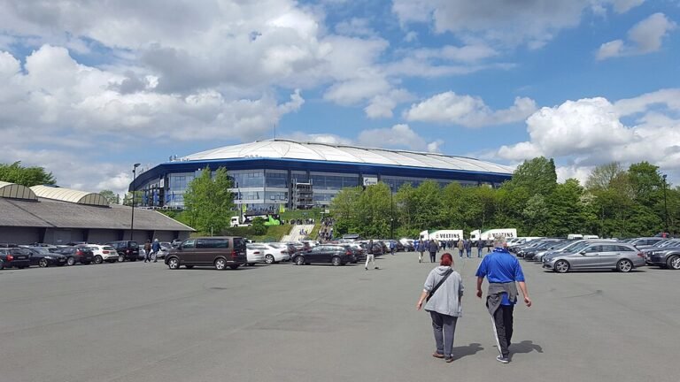Veltins-Arena