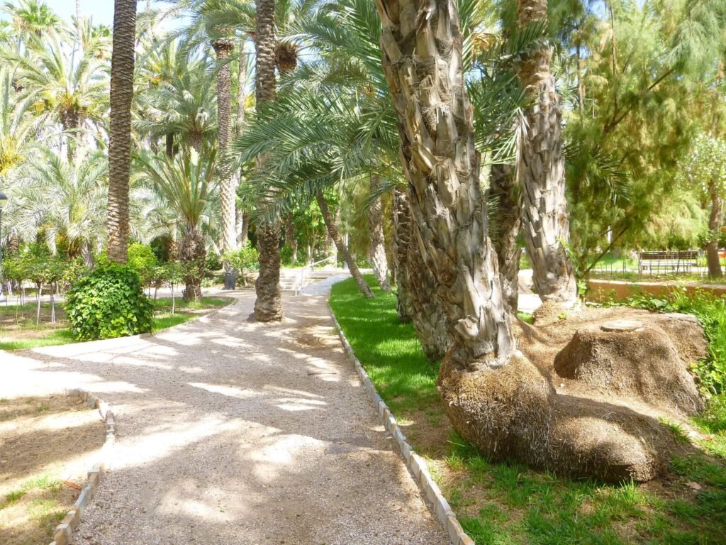 Parque Municipal im Zentrum – November 2018 · Estadio Martínez Valero
